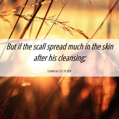 Picture 06 - Leviticus 13:35 KJV - But if the scall spread much in the skin after - Bible Verse Picture