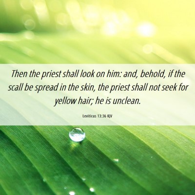 Picture 06 - Leviticus 13:36 KJV - Then the priest shall look on him: and, behold, - Bible Verse Picture