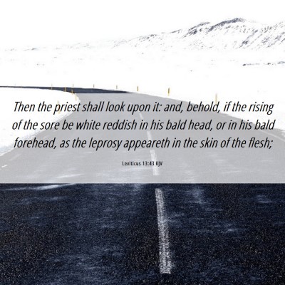 Picture 06 - Leviticus 13:43 KJV - Then the priest shall look upon it: and, behold, - Bible Verse Picture