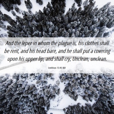 Picture 06 - Leviticus 13:45 KJV - And the leper in whom the plague is, his clothes - Bible Verse Picture