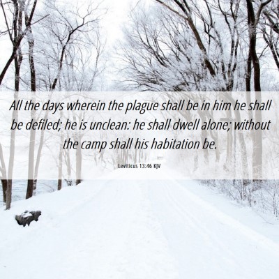Picture 06 - Leviticus 13:46 KJV - All the days wherein the plague shall be in him - Bible Verse Picture