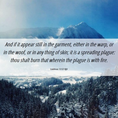 Picture 06 - Leviticus 13:57 KJV - And if it appear still in the garment, either in - Bible Verse Picture