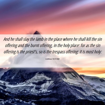 Picture 06 - Leviticus 14:13 KJV - And he shall slay the lamb in the place where he - Bible Verse Picture