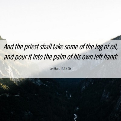 Picture 06 - Leviticus 14:15 KJV - And the priest shall take some of the log of oil, - Bible Verse Picture