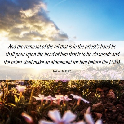 Picture 06 - Leviticus 14:18 KJV - And the remnant of the oil that is in the - Bible Verse Picture