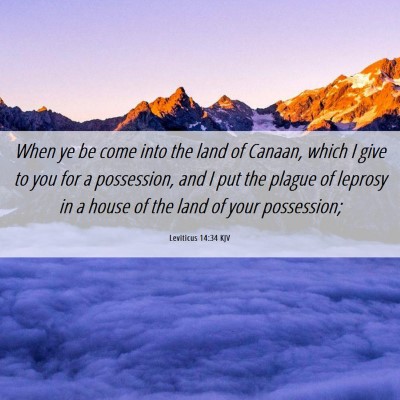 Picture 06 - Leviticus 14:34 KJV - When ye be come into the land of Canaan, which I - Bible Verse Picture