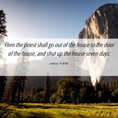 Picture 06 - Leviticus 14:38 KJV - Then the priest shall go out of the house to the - Bible Verse Picture