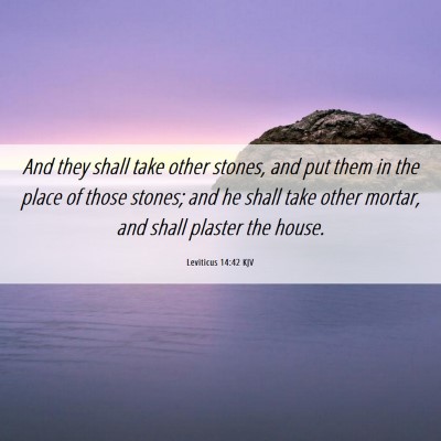 Picture 06 - Leviticus 14:42 KJV - And they shall take other stones, and put them in - Bible Verse Picture
