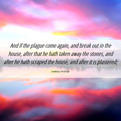 Picture 06 - Leviticus 14:43 KJV - And if the plague come again, and break out in - Bible Verse Picture