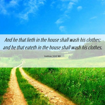 Picture 06 - Leviticus 14:47 KJV - And he that lieth in the house shall wash his - Bible Verse Picture