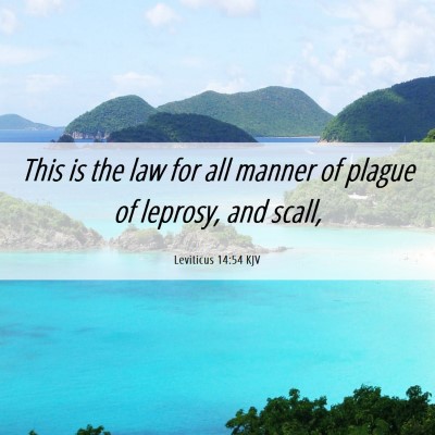 Picture 06 - Leviticus 14:54 KJV - This is the law for all manner of plague of - Bible Verse Picture