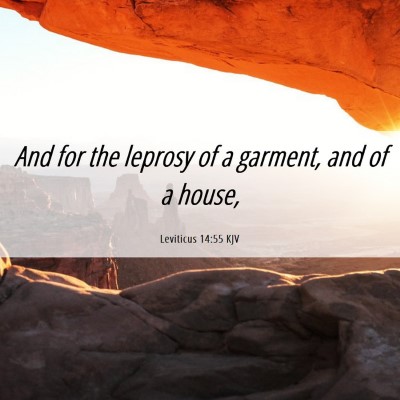 Picture 06 - Leviticus 14:55 KJV - And for the leprosy of a garment, and of a - Bible Verse Picture