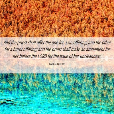 Picture 06 - Leviticus 15:30 KJV - And the priest shall offer the one for a sin - Bible Verse Picture