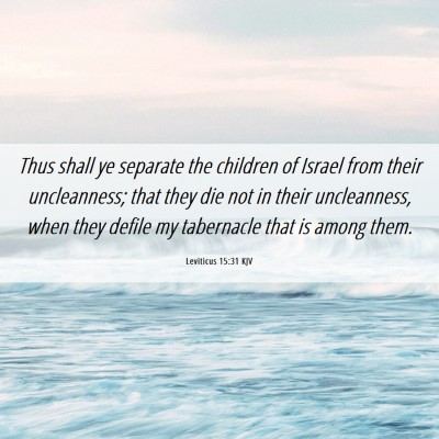 Picture 06 - Leviticus 15:31 KJV - Thus shall ye separate the children of Israel - Bible Verse Picture