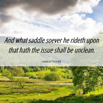 Picture 06 - Leviticus 15:9 KJV - And what saddle soever he rideth upon that hath - Bible Verse Picture