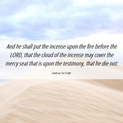 Picture 06 - Leviticus 16:13 KJV - And he shall put the incense upon the fire before - Bible Verse Picture