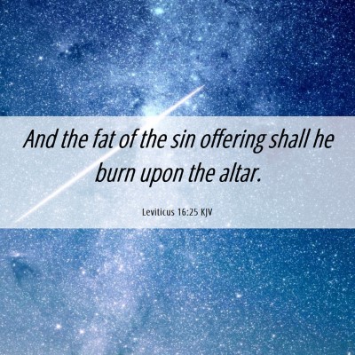 Picture 06 - Leviticus 16:25 KJV - And the fat of the sin offering shall he burn - Bible Verse Picture