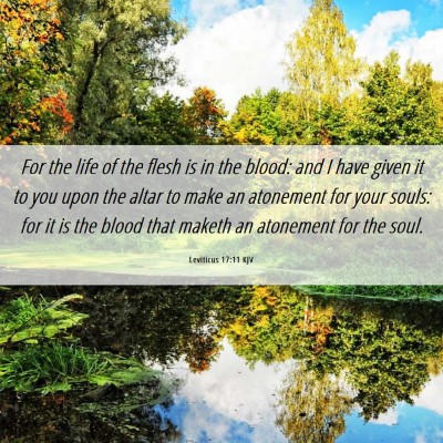 Picture 06 - Leviticus 17:11 KJV - For the life of the flesh is in the blood: and I - Bible Verse Picture
