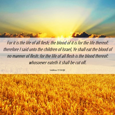 Picture 06 - Leviticus 17:14 KJV - For it is the life of all flesh; the blood of it - Bible Verse Picture