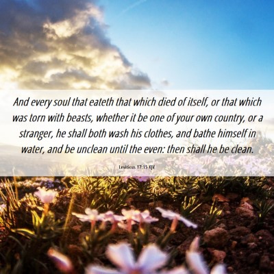 Picture 06 - Leviticus 17:15 KJV - And every soul that eateth that which died of - Bible Verse Picture