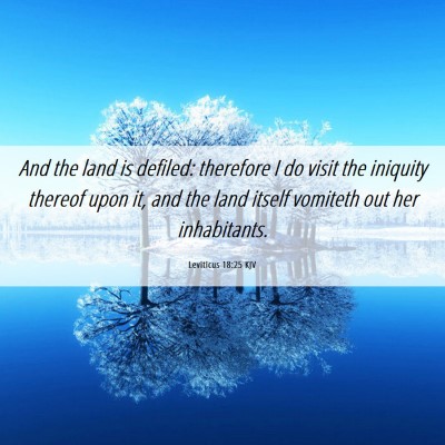 Picture 06 - Leviticus 18:25 KJV - And the land is defiled: therefore I do visit the - Bible Verse Picture