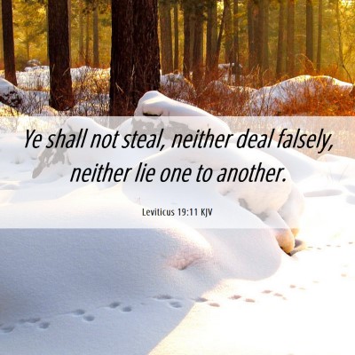 Picture 06 - Leviticus 19:11 KJV - Ye shall not steal, neither deal falsely, neither - Bible Verse Picture