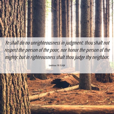Picture 06 - Leviticus 19:15 KJV - Ye shall do no unrighteousness in judgment: thou - Bible Verse Picture