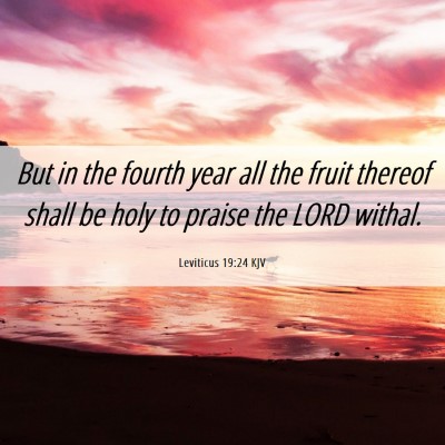 Picture 06 - Leviticus 19:24 KJV - But in the fourth year all the fruit thereof - Bible Verse Picture