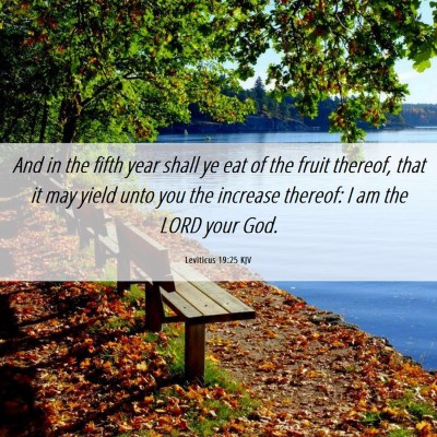 Picture 06 - Leviticus 19:25 KJV - And in the fifth year shall ye eat of the fruit - Bible Verse Picture