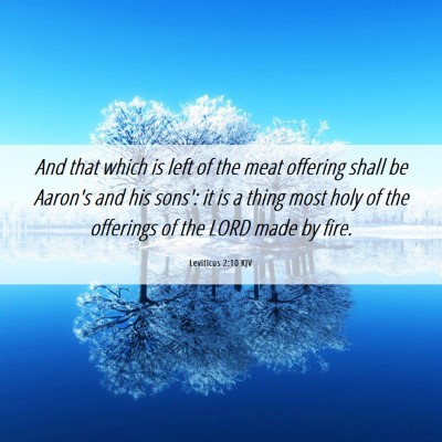 Picture 06 - Leviticus 2:10 KJV - And that which is left of the meat offering shall - Bible Verse Picture