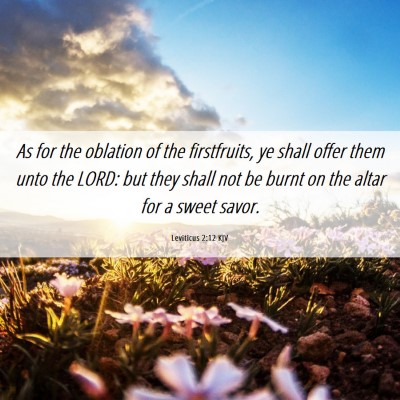 Picture 06 - Leviticus 2:12 KJV - As for the oblation of the firstfruits, ye shall - Bible Verse Picture