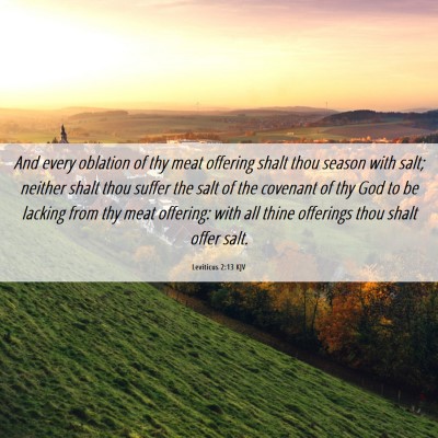 Picture 06 - Leviticus 2:13 KJV - And every oblation of thy meat offering shalt - Bible Verse Picture