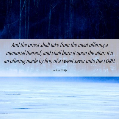 Picture 06 - Leviticus 2:9 KJV - And the priest shall take from the meat offering - Bible Verse Picture