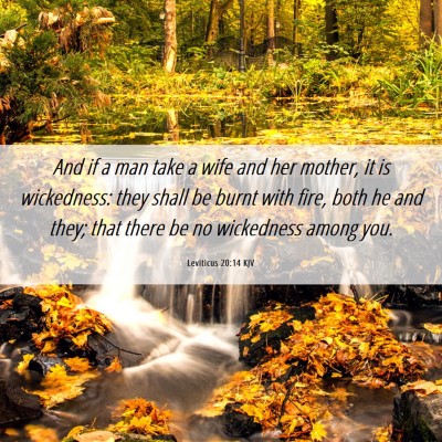 Picture 06 - Leviticus 20:14 KJV - And if a man take a wife and her mother, it is - Bible Verse Picture