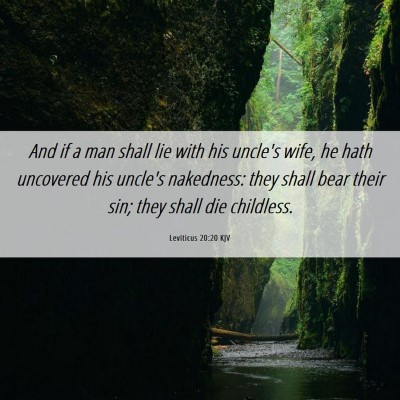 Picture 06 - Leviticus 20:20 KJV - And if a man shall lie with his uncle's wife, he - Bible Verse Picture