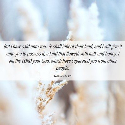 Picture 06 - Leviticus 20:24 KJV - But I have said unto you, Ye shall inherit their - Bible Verse Picture