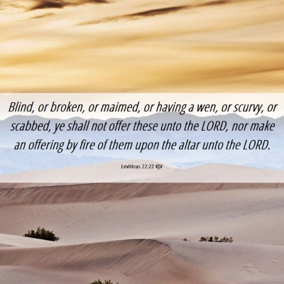 Picture 06 - Leviticus 22:22 KJV - Blind, or broken, or maimed, or having a wen, or - Bible Verse Picture