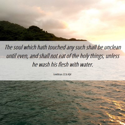 Picture 06 - Leviticus 22:6 KJV - The soul which hath touched any such shall be - Bible Verse Picture