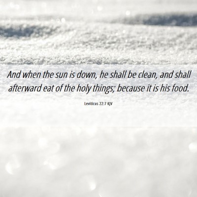 Picture 06 - Leviticus 22:7 KJV - And when the sun is down, he shall be clean, and - Bible Verse Picture