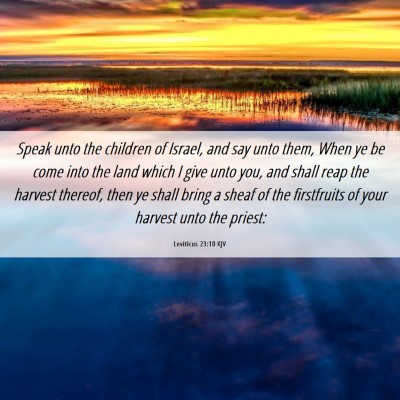 Picture 06 - Leviticus 23:10 KJV - Speak unto the children of Israel, and say unto - Bible Verse Picture