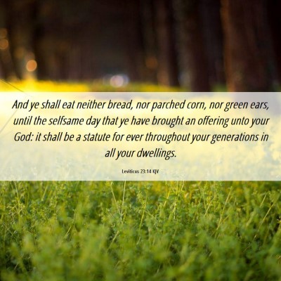 Picture 06 - Leviticus 23:14 KJV - And ye shall eat neither bread, nor parched corn, - Bible Verse Picture