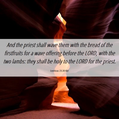 Picture 06 - Leviticus 23:20 KJV - And the priest shall wave them with the bread of - Bible Verse Picture