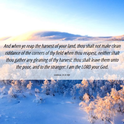Picture 06 - Leviticus 23:22 KJV - And when ye reap the harvest of your land, thou - Bible Verse Picture