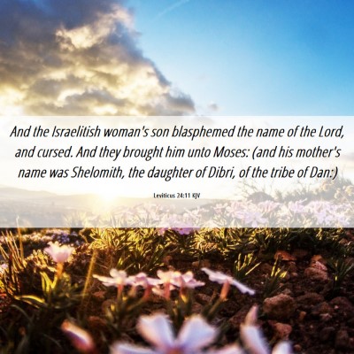 Picture 06 - Leviticus 24:11 KJV - And the Israelitish woman's son blasphemed the - Bible Verse Picture