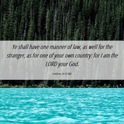 Picture 06 - Leviticus 24:22 KJV - Ye shall have one manner of law, as well for the - Bible Verse Picture