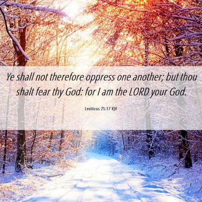 Picture 06 - Leviticus 25:17 KJV - Ye shall not therefore oppress one another; but - Bible Verse Picture