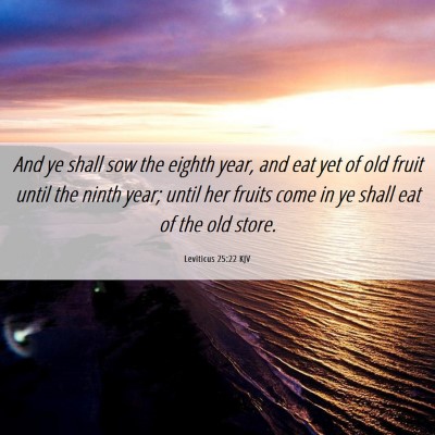 Picture 06 - Leviticus 25:22 KJV - And ye shall sow the eighth year, and eat yet of - Bible Verse Picture