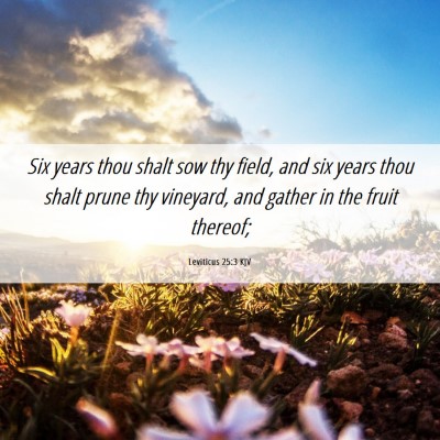 Picture 06 - Leviticus 25:3 KJV - Six years thou shalt sow thy field, and six years - Bible Verse Picture
