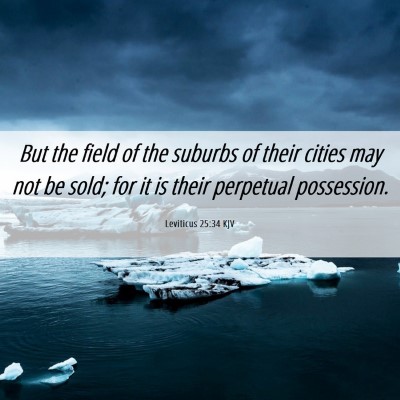Picture 06 - Leviticus 25:34 KJV - But the field of the suburbs of their cities may - Bible Verse Picture