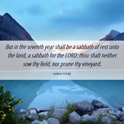 Picture 06 - Leviticus 25:4 KJV - But in the seventh year shall be a sabbath of - Bible Verse Picture